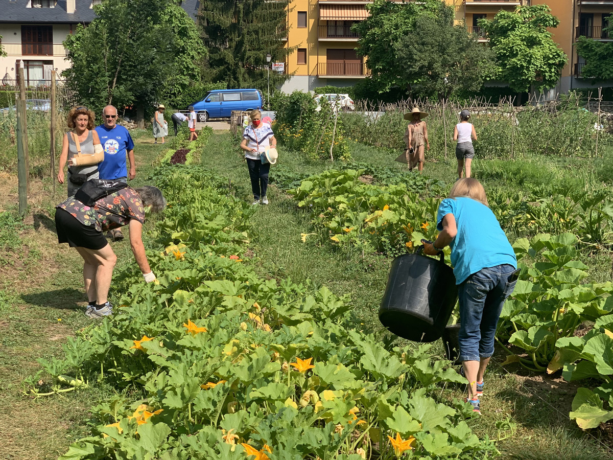 Hort comunitari de Senterada