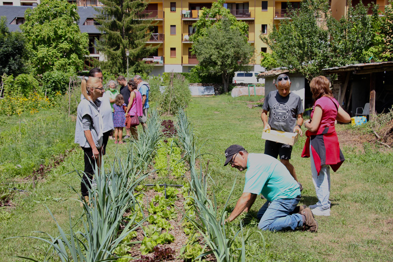 Cuidant l'hort de Senterada viu